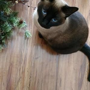 Meet your Posher, Julie